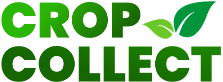 CropCollect Logo